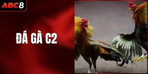 Đá Gà C2